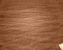 Fliegende Schatten