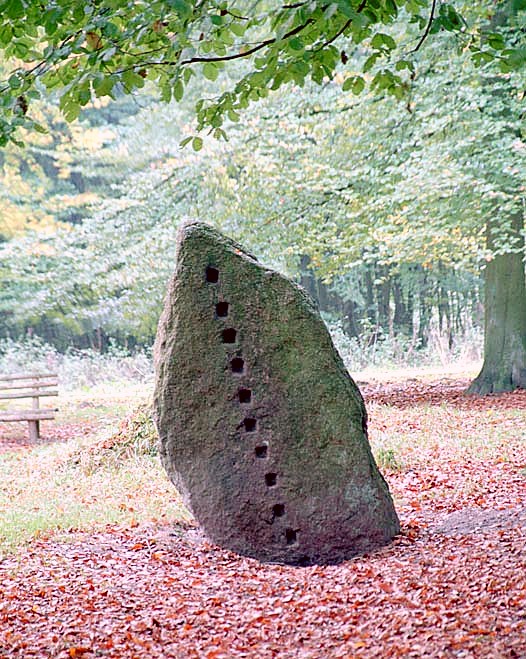 Steinkreis von Boitin