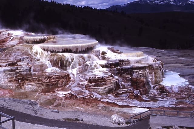 Mammoth Hot Springs