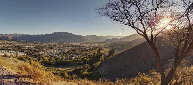 Elqui-Tal Vicuna