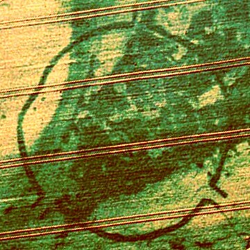 Goseck Ringgrabenanlage