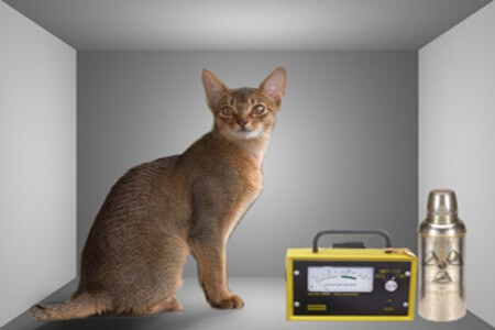 Schrödingers Katze